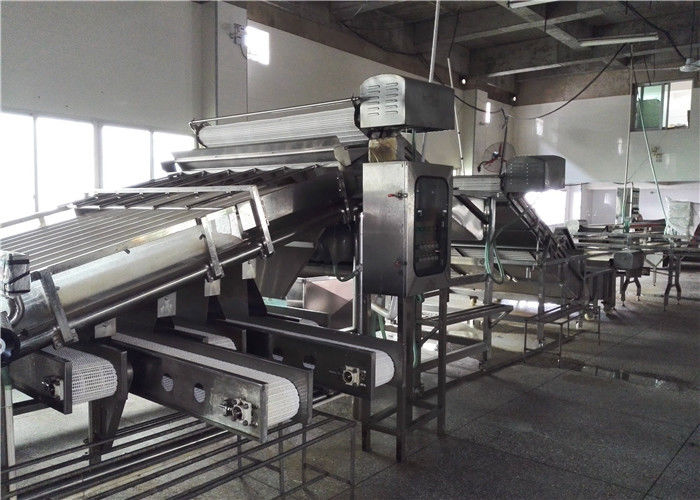 Xiamen Tongzhonghe Imp & Exp Co., Ltd. 製造業者の生産ライン