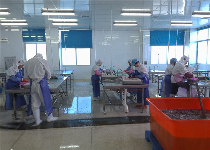Xiamen Tongzhonghe Imp & Exp Co., Ltd. 製造業者の生産ライン